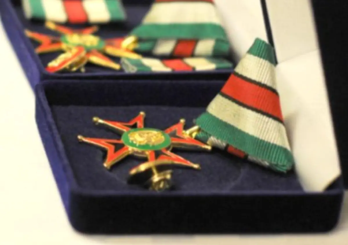 A close-up of the medal of the Society's system of honours